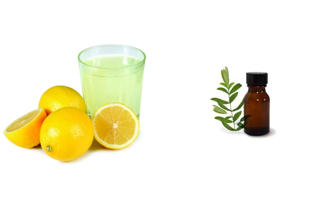 Image result for Lemon Juice & Tea Tree Oil