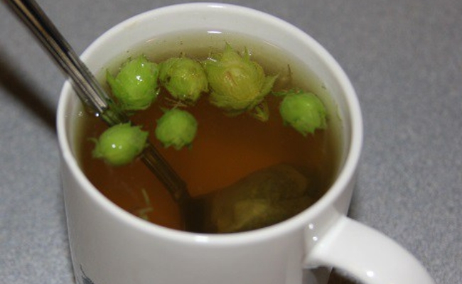 Saw Palmetto Tea Saw Palmetto Tea