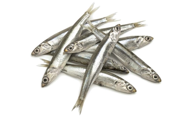 Sweet Water Small Fish