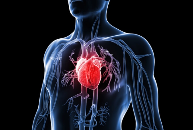 Controls The Heart Diseases Controls The Heart Diseases