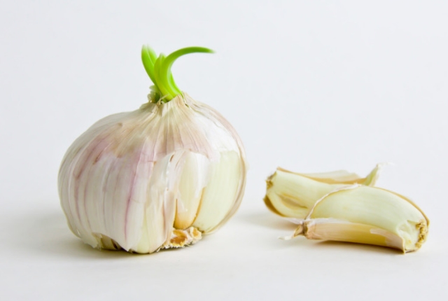 Garlic Garlic