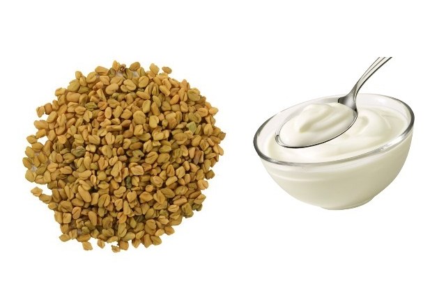 Fenugreek Seeds And Curd Fenugreek Seeds And Curd
