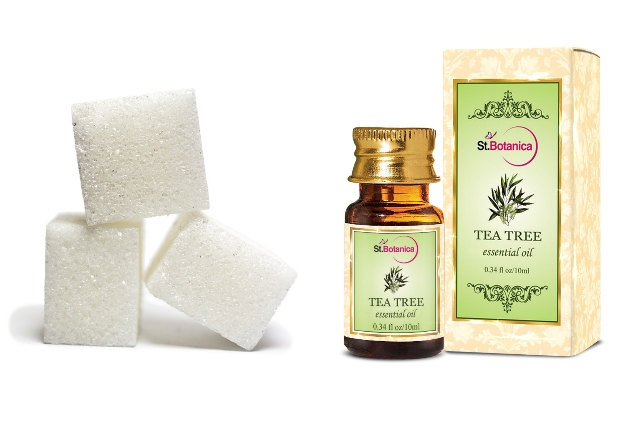 Sugar And Tree Oil Scrub Sugar And Tree Oil Scrub